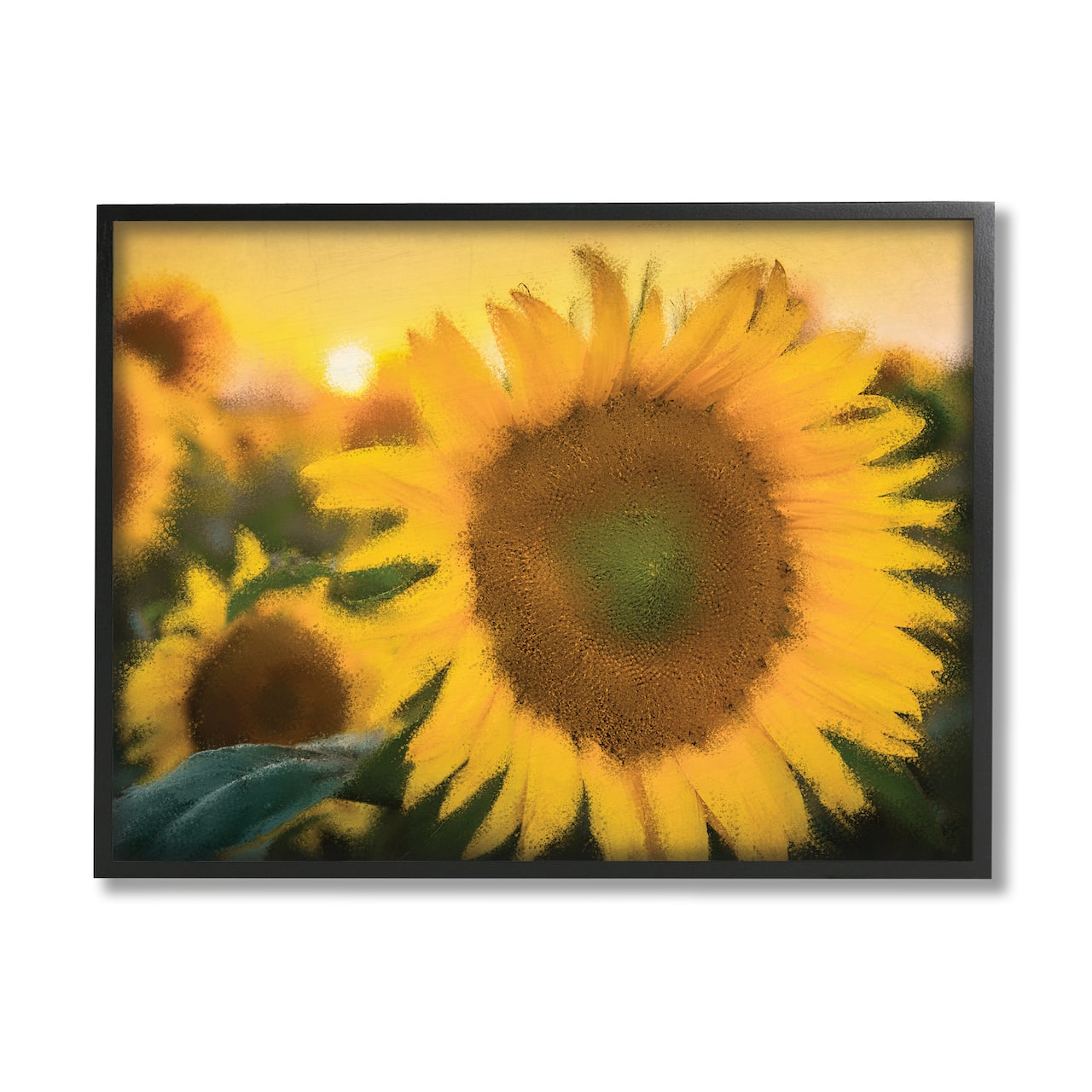 Stupell Industries Sunflower Field Sunrise Realistic Soft Edges in Black Frame Wall Art